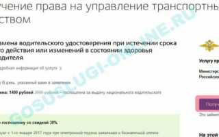 Как записаться через госуслуги на замену водительского удостоверения