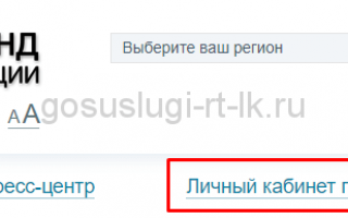 Госуслуги РТ — Личный кабинет пенсионного фонда