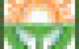 Пенсионный фонд в районе Бибирево