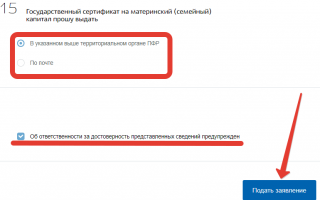 Как подать заявление на материнский капитал через Госуслуги