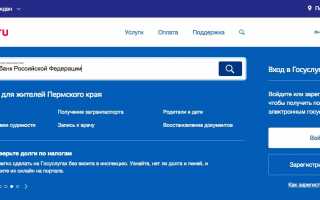 Как узнать кредитную историю через Госуслуги