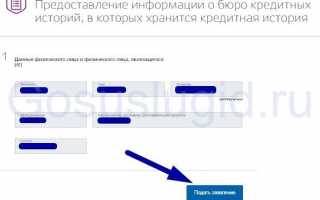 Кредитная история через Госуслуги — проверьте бесплатно