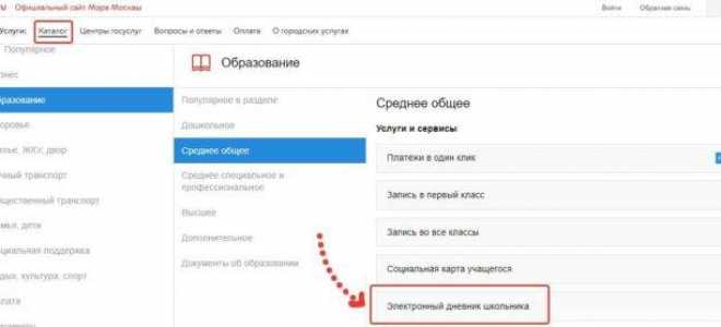 Электронный дневник школьника в едином личном кабинете