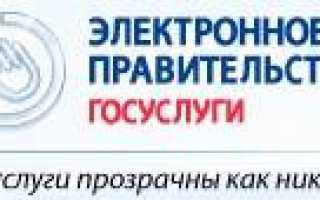 Госуслуги к сведению: Получил пароль для входа в систему Госуслуги что дальше