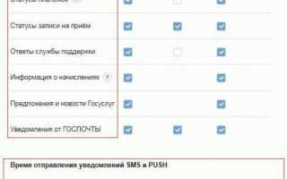 Скачать Госуслуги  на русском бесплатно