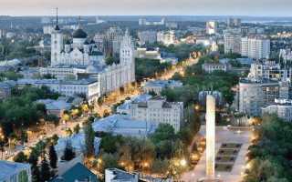 Личный кабинет Госуслуги Воронеж – официальный сайт, вход, регистрация