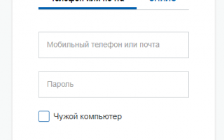 Сетевой город Челябинск и область