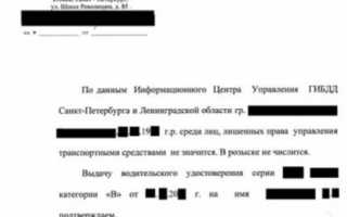 Как получить справку об отсутствии штрафов ГИБДД?