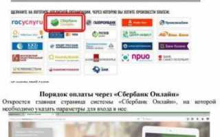 Госуслуги Рассказово – официальный сайт, личный кабинет