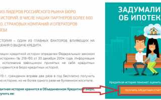 Объединённое кредитное бюро (ОКБ): инструкция как проверить свою кредитную историю