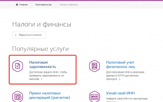 Справка об отсутствии налоговой задолженности Госуслуги